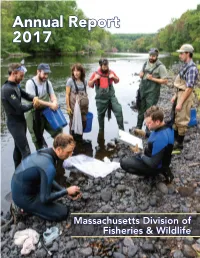 Annual Report 2017
