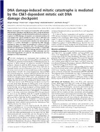 DNA Damage-Induced Mitotic Catastrophe Is Mediated by the Chk1-Dependent Mitotic Exit DNA Damage Checkpoint