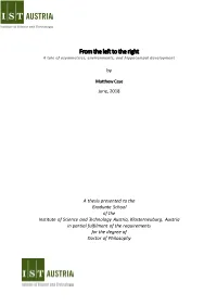 From the Left to the Right a Tale of Asymmetries, Environments, and Hippocampal Development