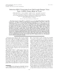 Infectious RNA Transcripts from Full-Length Dengue Virus Type 2 Cdna Clones Made in Yeast