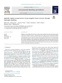 Spatially Explicit Reconstruction of Post-Megafire Forest Recovery Through Landscape Modeling