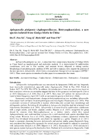 Aplosporella Ginkgonis (Aplosporellaceae, Botryosphaeriales), a New Species Isolated from Ginkgo Biloba in China
