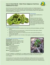 Fiddlehead Fern Day!!