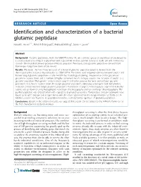 Identification and Characterization of a Bacterial Glutamic Peptidase Kenneth Jensen1,2*, Peter R Østergaard1, Reinhard Wilting1, Søren F Lassen1