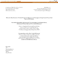 Molecular Identification of Isolated Fungi from Kelantan and Terengganu Using Internal Transcribed Spacer (ITS) Region