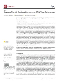 Structure Unveils Relationships Between RNA Virus Polymerases