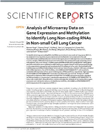 Analysis of Microarray Data on Gene Expression and Methylation to Identify Long Non-Coding Rnas in Non-Small Cell Lung Cancer
