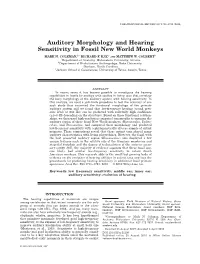 Auditory Morphology and Hearing Sensitivity in Fossil New World Monkeys