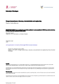 Complete Thesis