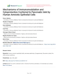 Mechanisms of Immunomodulation and Cytoprotection Conferred to Pancreatic Islet by Human Amniotic Epithelial Cells