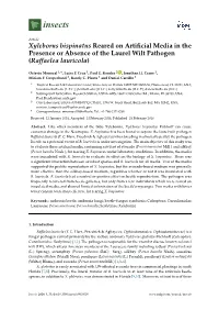 Xyleborus Bispinatus Reared on Artificial Media in the Presence Or