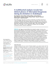 A Multifaceted Analysis Reveals Two Distinct Phases of Chloroplast