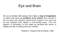Eye and Brain