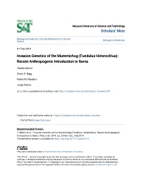 Fundulus Heteroclitus): Recent Anthropogenic Introduction in Iberia
