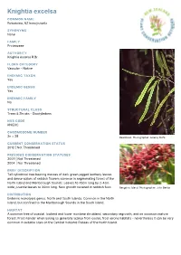 Knightia Excelsa