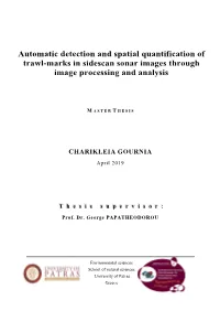 Master Thesis Template