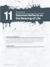 Solomon Reflects on the Meaning of Life
