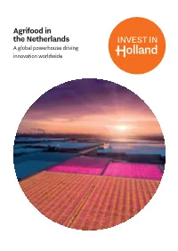 Agrifood in the Netherlands a Global Powerhouse Driving Innovation Worldwide Why Choose the Netherlands to Realize Your Ambitions?
