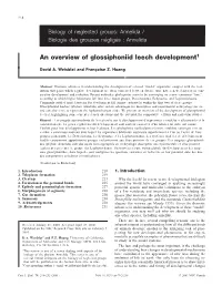 An Overview of Glossiphoniid Leech Development1