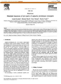 Multiple Functions of Pro-Parts of Aspartic Proteinase Zymogens