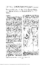Tasmantid Guyots, the Age of the Tasman Basin, and Motion Between the Australia Plate and the Mantle