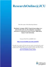 Tropical Macroalgae As a Natural Alternative for the Mitigation of Methane Emissions in Ruminant Livestock Systems