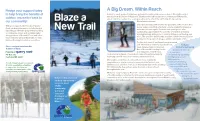 Blaze a New Trail