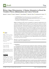 Brown Algae Phlorotannins: a Marine Alternative to Break the Oxidative Stress, Inﬂammation and Cancer Network