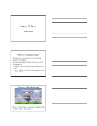 Chapter 15, Part 1 What Are Thunderstorms? Ordinary