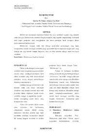 Media Matrasain 20 Blobitecture