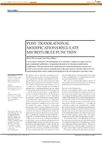 Post-Translational Modifications Regulate Microtubule Function