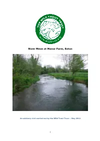 River Meon at Manor Farm, Exton
