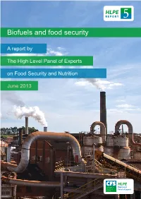 Biofuels and Food Security. HLPE Report 5