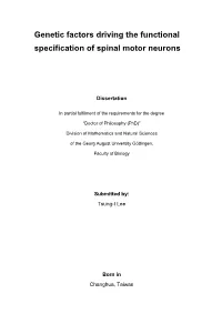 Genetic Factors Driving the Functional Specification of Spinal Motor Neurons