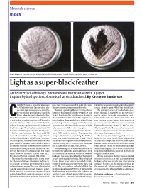 Light As a Super-Black Feather