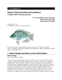 Mango Tilapia (Sarotherodon Galilaeus) Ecological Risk Screening Summary