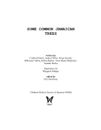 Some Common Jamaican Trees