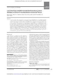 Full Text (PDF)