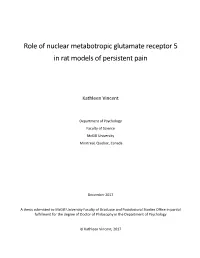 Role of Nuclear Metabotropic Glutamate Receptor 5 in Rat Models of Persistent Pain