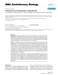 Schmeissneria: a Missing Link to Angiosperms? Xin Wang*1, Shuying Duan2, Baoyin Geng2, Jinzhong Cui2 and Yong Yang2