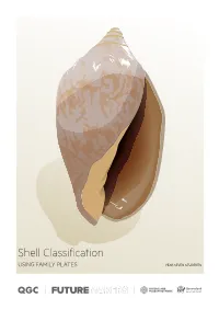 Shell Classification – Using Family Plates
