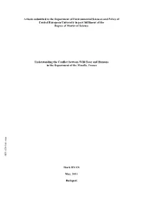 A Thesis Submitted to the Department of Environmental Sciences And