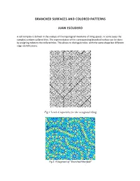 Branched Surfaces and Colored Patterns Juan