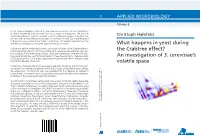 What Happens in Yeast During the Crabtree Effect? an Investigation of Work Are Discussed