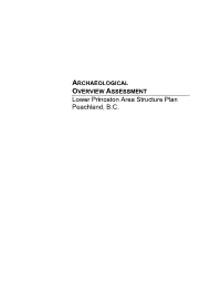 Lower Princeton Area Structure Plan Peachland, B.C
