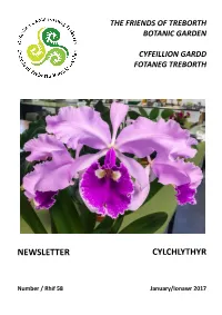 Newsletter Cylchlythyr