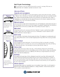 Terminology N This Discussion We Use Many Technical Terms with Very Specific Meanings, While Most Are Istandard Terms, Other Sailmakers Sometime Use Alternative Terms