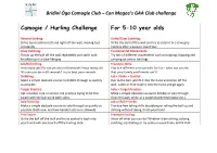 Camogie / Hurling Challenge for 5-10 Year Olds