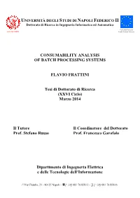 CONSUMABILITY ANALYSIS of BATCH PROCESSING SYSTEMS FLAVIO FRATTINI Tesi Di Dottorato Di Ricerca