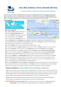 Java, Bali, Sulawesi, Flores, Komodo (20 Días)